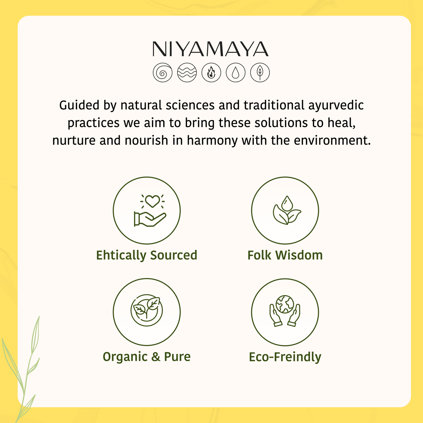 Black Mustard Oil - Niyamaya