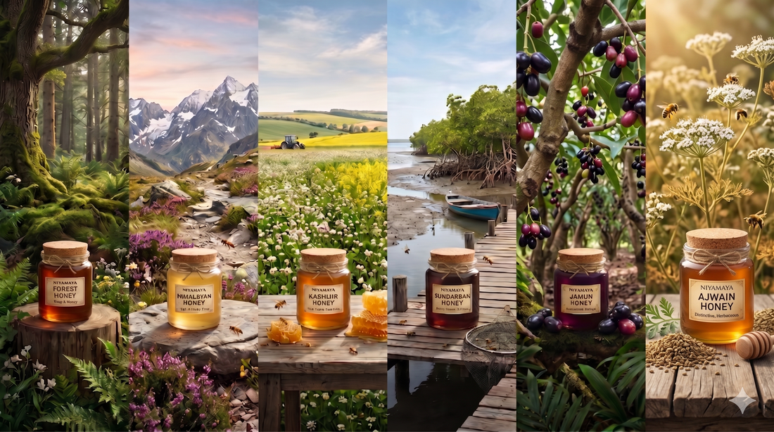 6 Regions, 6 Honeys — What We Discovered Will Change How You Buy Honey